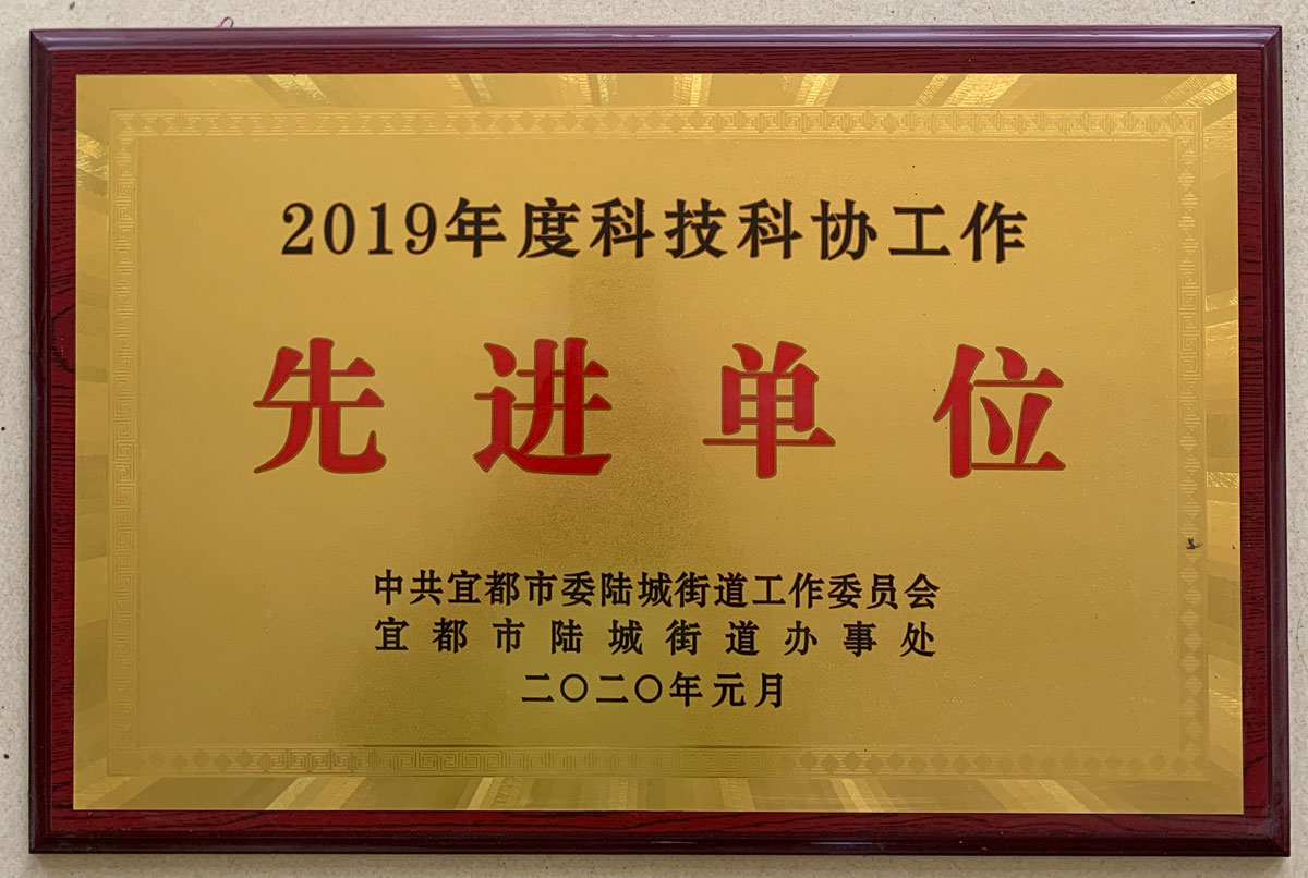 2019科技科協先進單位.jpg